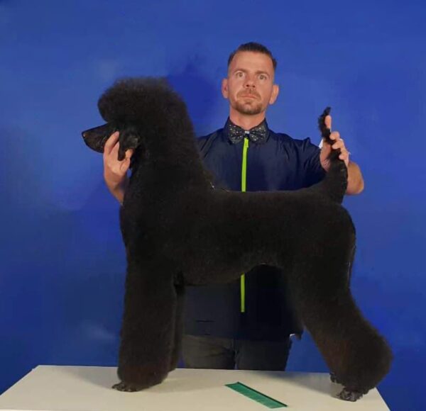Terrier Clip Poodle Szeminárium - Image 4