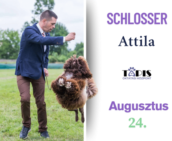 Göndör és hullámos szőr ápolása