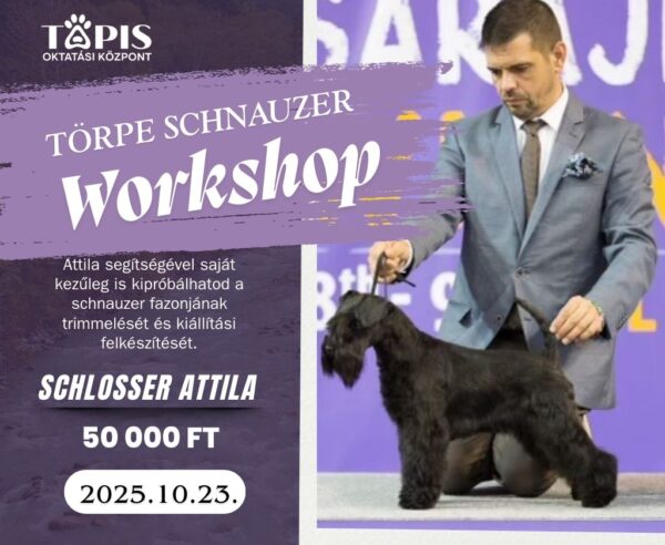 Törpe Schnauzer Workshop